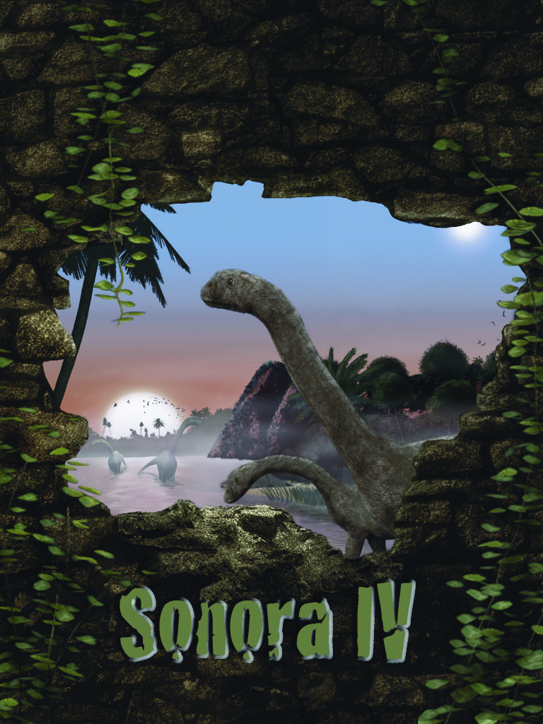 sonoralandscape